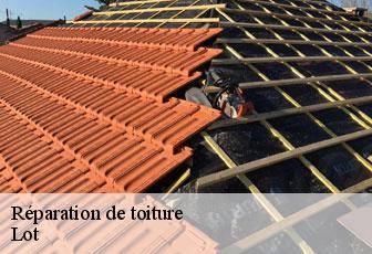 Réparation de toiture Lot