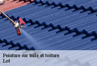 Peinture sur tuile et toiture Lot