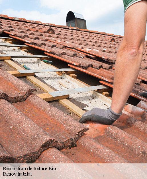 Réparation de toiture 46500