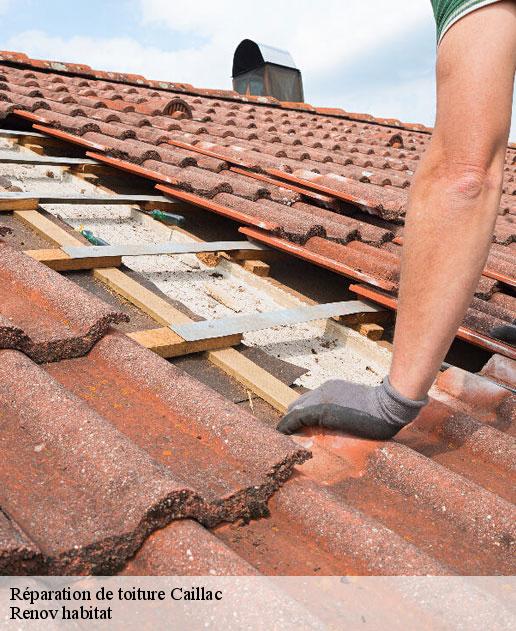 Réparation de toiture  46140