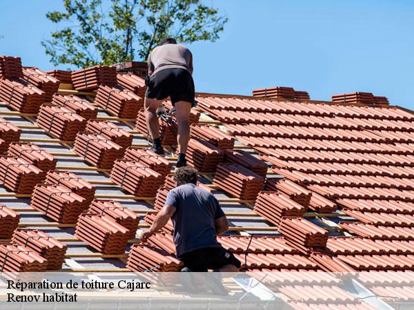Réparation de toiture 46160