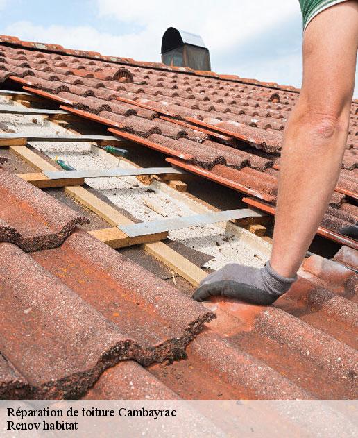 Réparation de toiture  46140