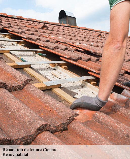 Réparation de toiture 46230