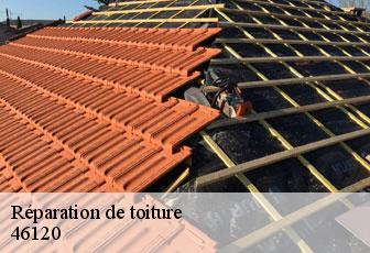 Réparation de toiture 46120