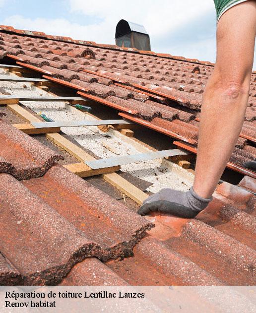 Réparation de toiture 46330