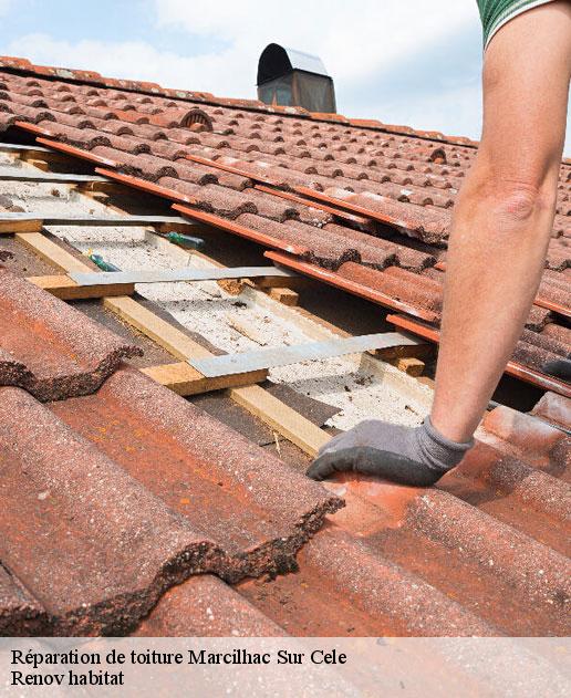 Réparation de toiture  46160