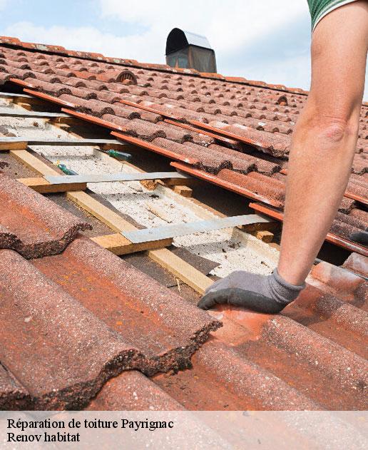 Réparation de toiture 46300