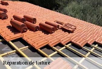 Réparation de toiture 46220