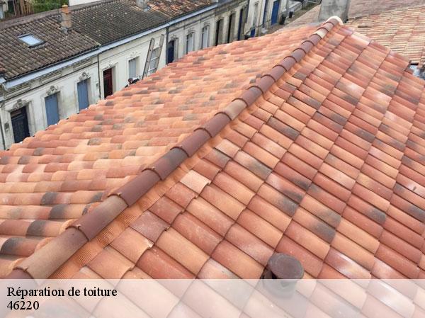 Réparation de toiture  46220