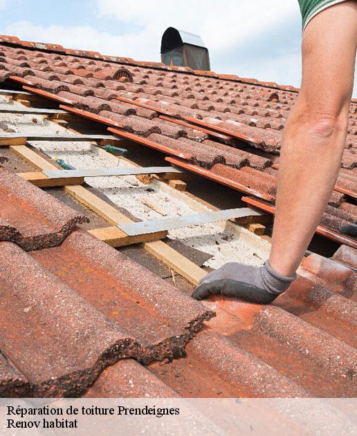 Réparation de toiture 46270