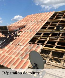 Réparation de toiture 46350