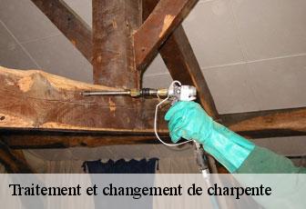 Traitement et changement de charpente  46500