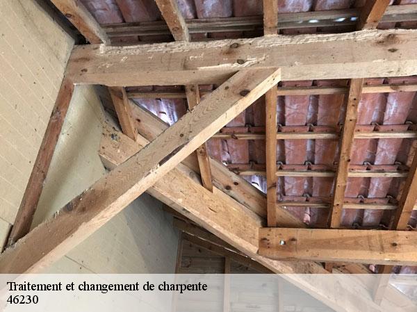 Traitement et changement de charpente  46230