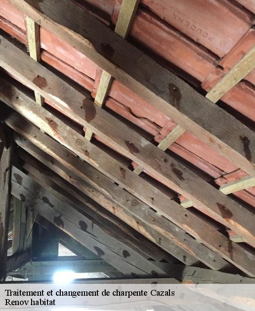 Traitement et changement de charpente  46250