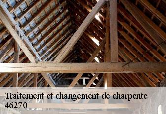 Traitement et changement de charpente  46270