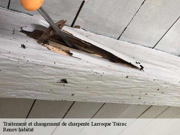 Traitement et changement de charpente 46160