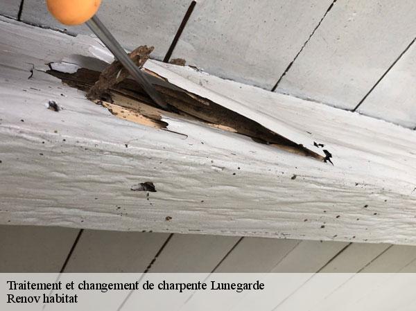 Traitement et changement de charpente  46240