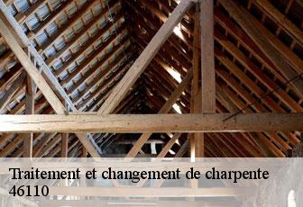 Traitement et changement de charpente 46110