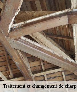 Traitement et changement de charpente 46330