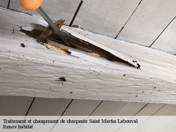 Traitement et changement de charpente  46330
