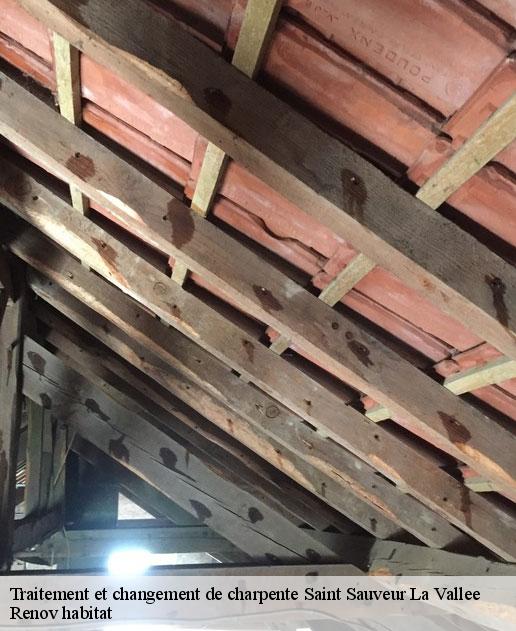 Traitement et changement de charpente  46240