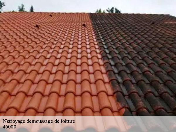 Nettoyage demoussage de toiture 46000