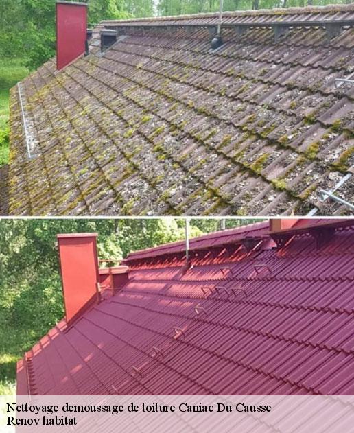 Nettoyage demoussage de toiture 46240