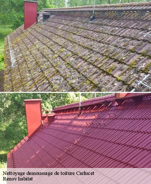 Nettoyage demoussage de toiture  46500