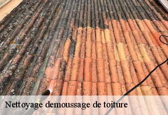 Nettoyage demoussage de toiture 46340