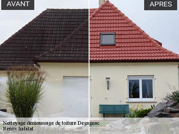 Nettoyage demoussage de toiture 46340