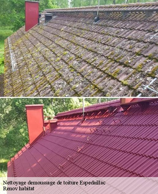 Nettoyage demoussage de toiture  46320