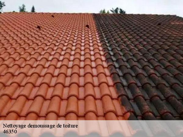 Nettoyage demoussage de toiture 46350