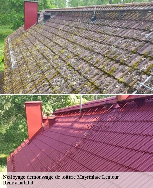Nettoyage demoussage de toiture  46500