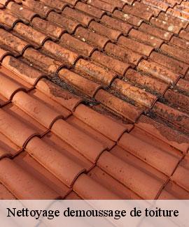 Nettoyage demoussage de toiture 46300