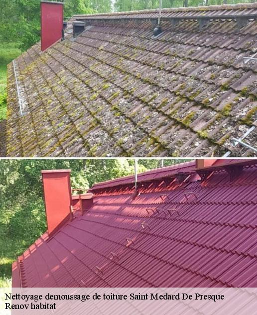 Nettoyage demoussage de toiture  46400