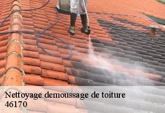 Nettoyage demoussage de toiture  46170
