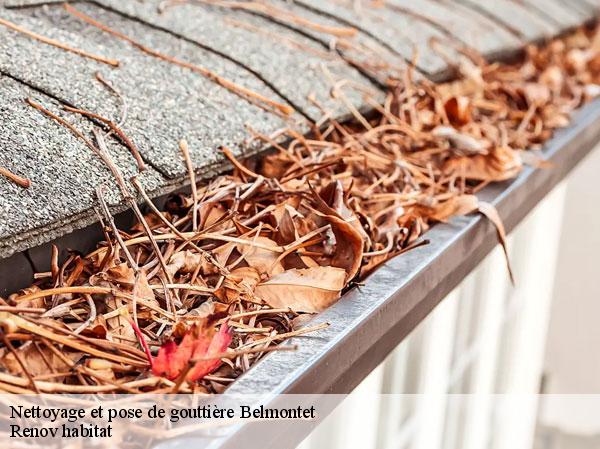 Nettoyage et pose de gouttière 46800