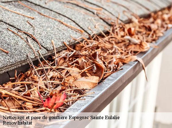 Nettoyage et pose de gouttière  46320