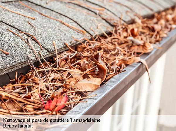 Nettoyage et pose de gouttière 46090