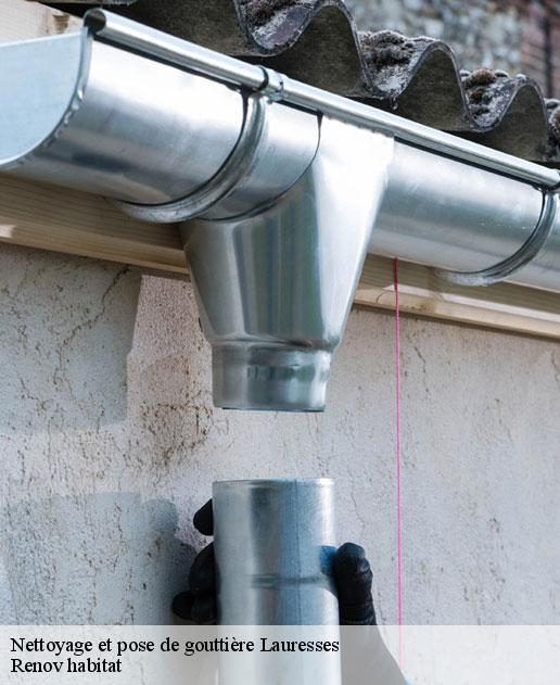 Nettoyage et pose de gouttière 46210