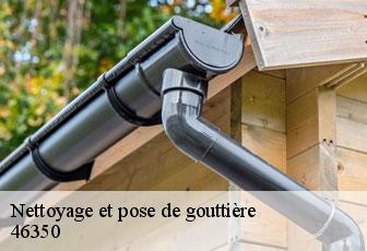 Nettoyage et pose de gouttière 46350