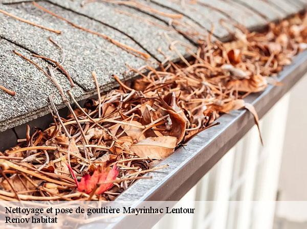 Nettoyage et pose de gouttière 46500