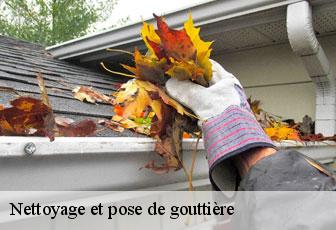 Nettoyage et pose de gouttière  46300