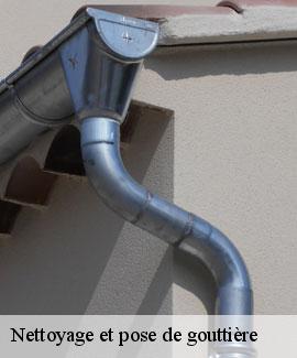 Nettoyage et pose de gouttière 46320