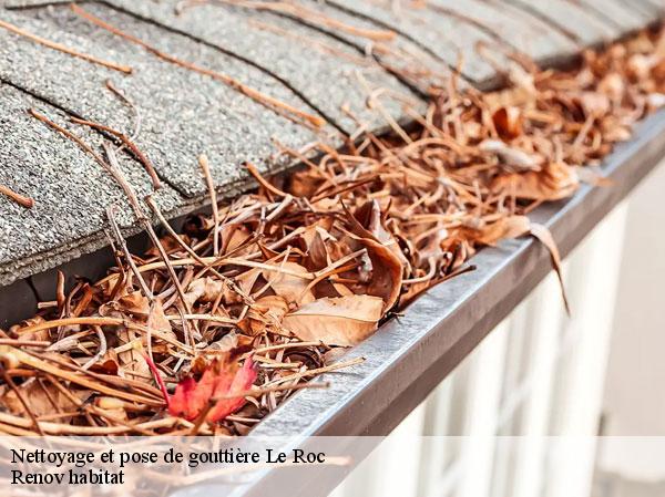 Nettoyage et pose de gouttière  46200