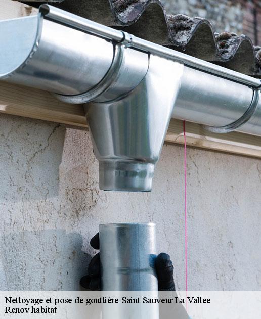 Nettoyage et pose de gouttière 46240