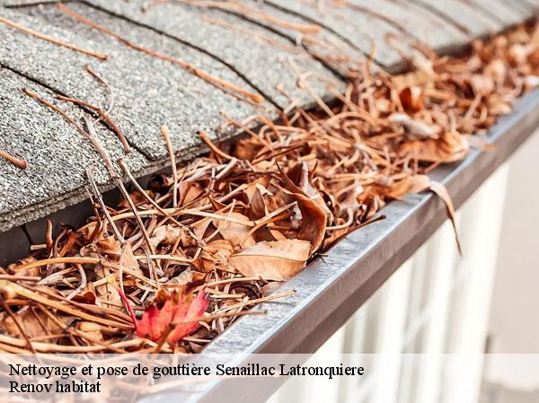 Nettoyage et pose de gouttière  46210