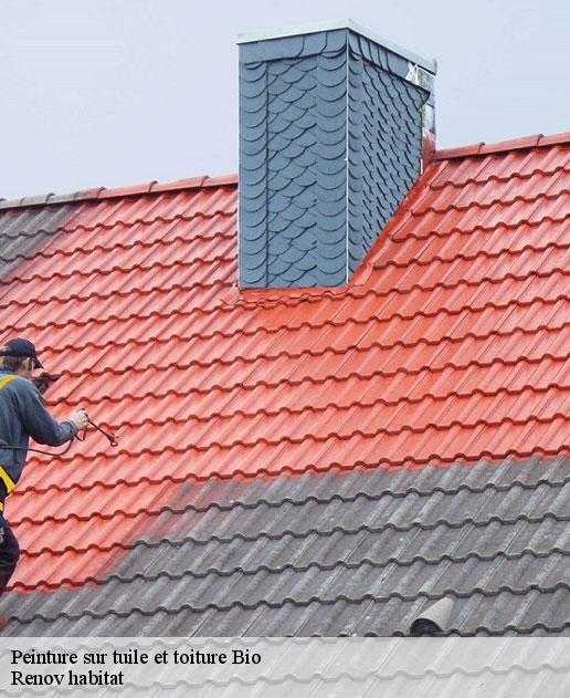 Peinture sur tuile et toiture  46500