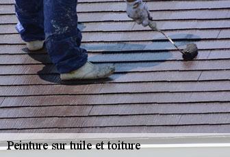 Peinture sur tuile et toiture  46500