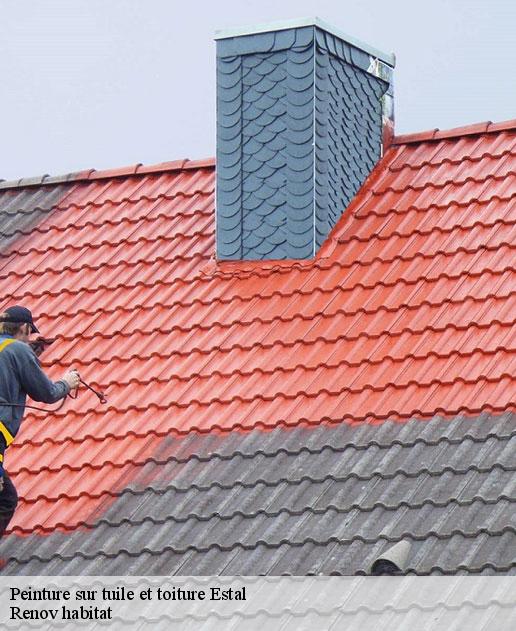 Peinture sur tuile et toiture 46130
